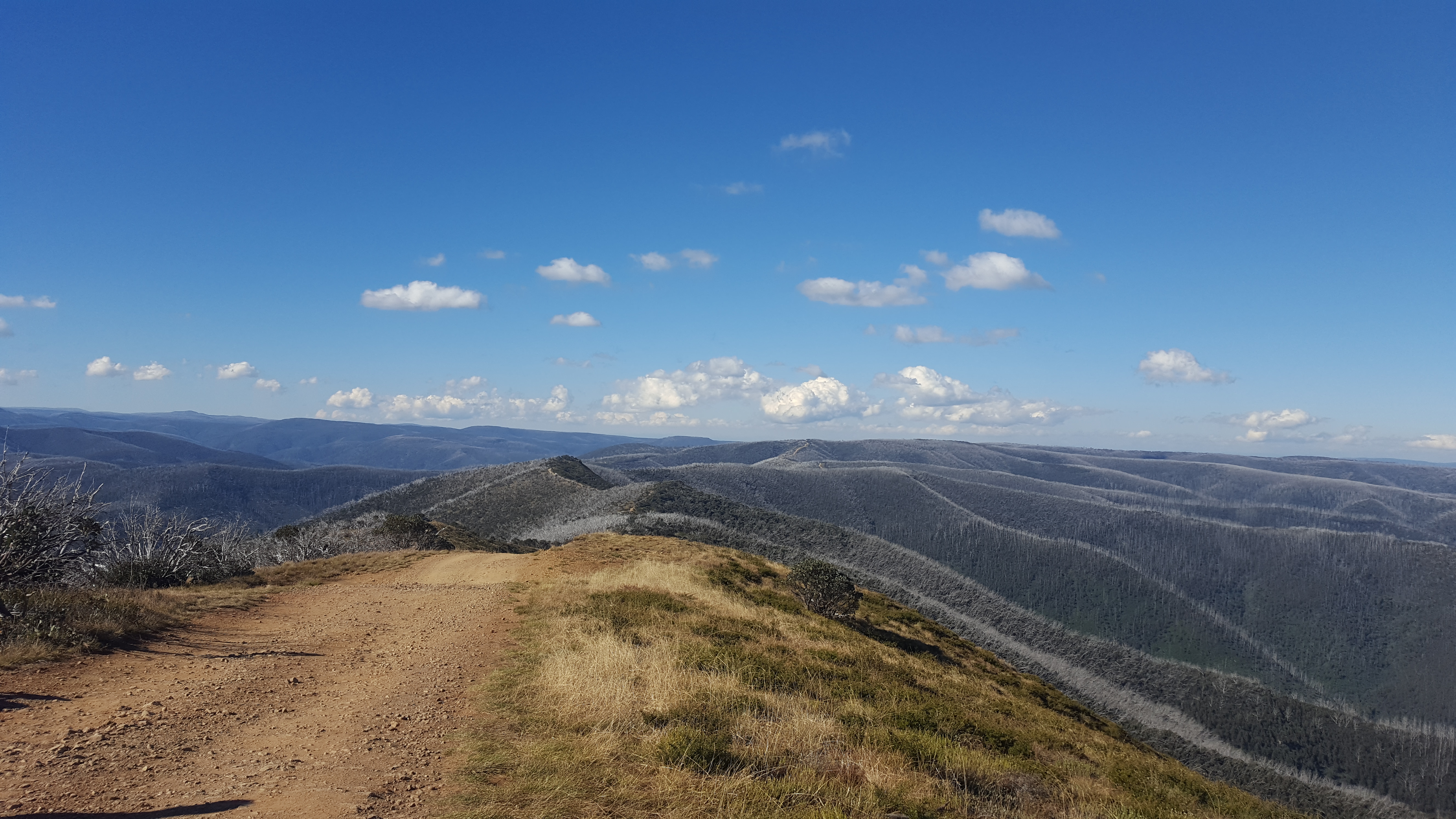 Read more about the article The Victorian High Country – An Epic trip in 10 Days Part 2